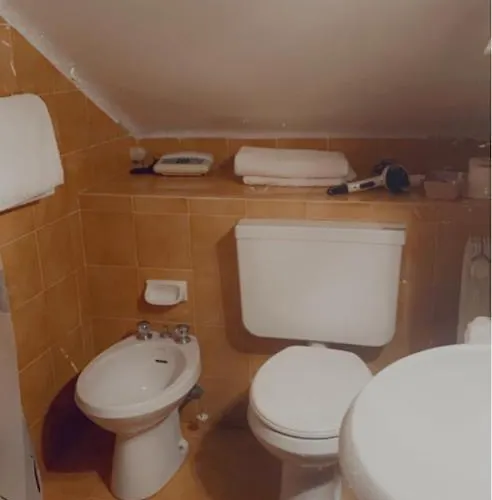 Garibaldi